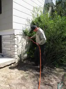 Termite Control in Middletown, NJ