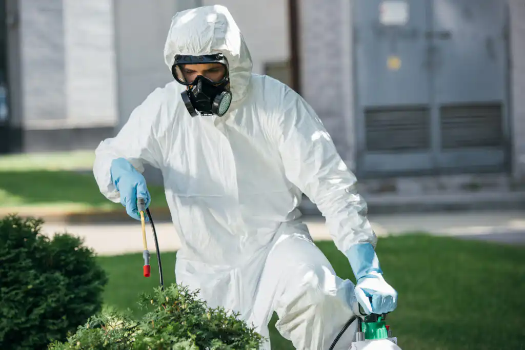 pest control worker spraying on a bush