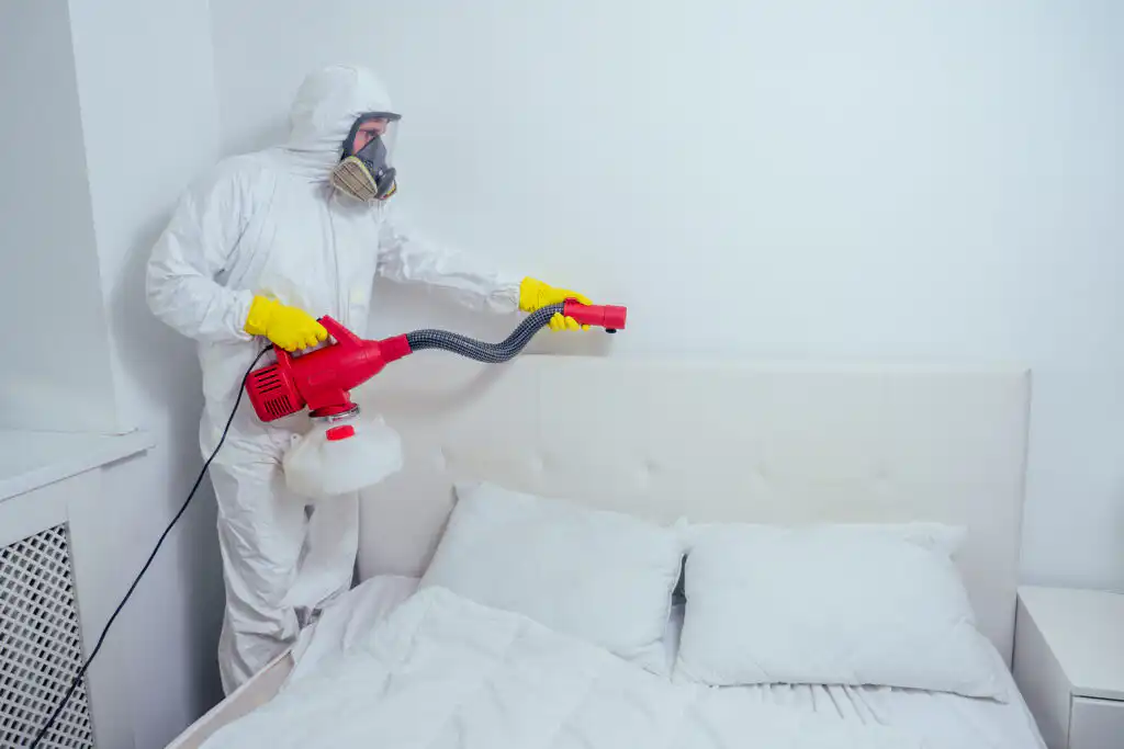 pest control worker lying on floor and spraying pesticides in bedroom.